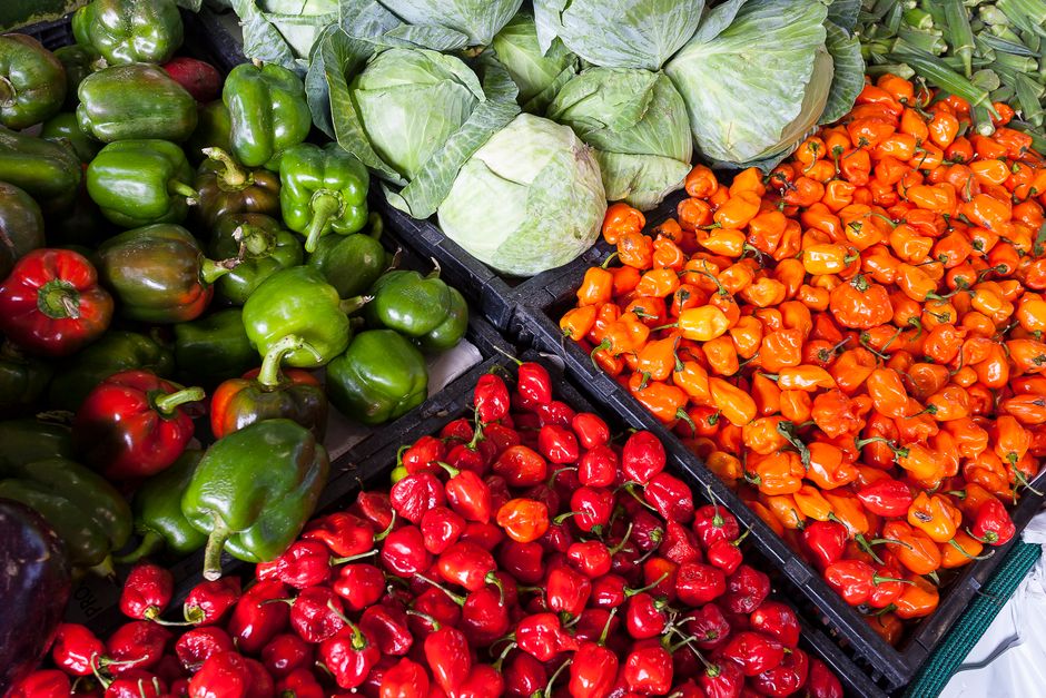 Fresh, healthy food
