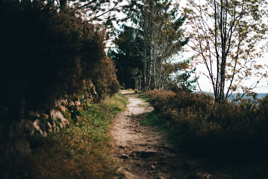 A Balanced Approach To Wellness: Sorting Fact From Fiction