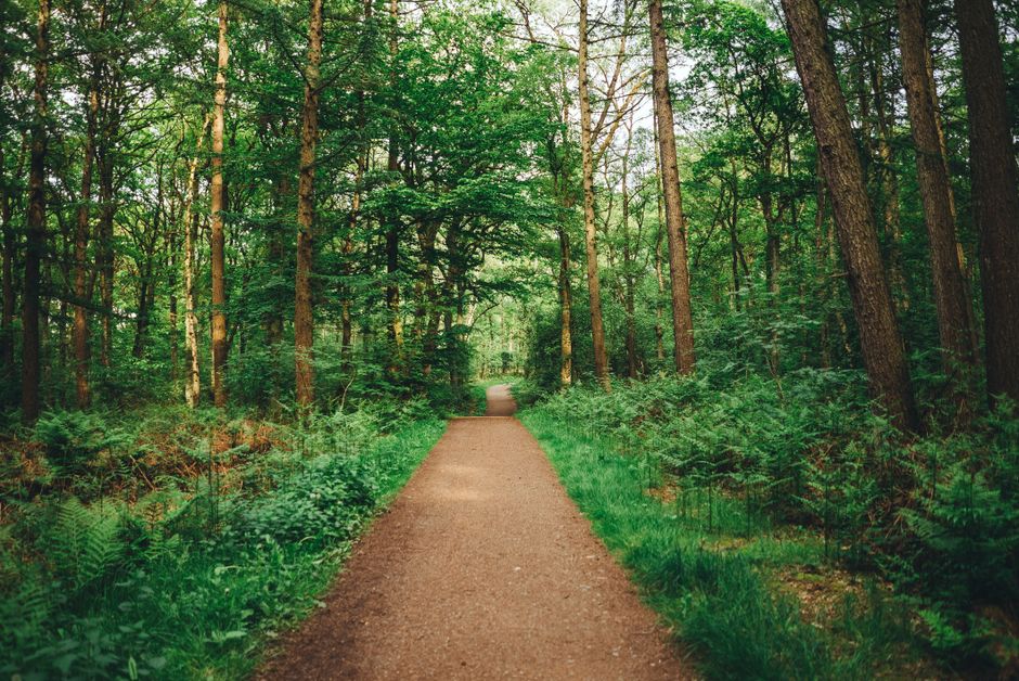 A Gentler Way to Approach Building Positive Daily Routines, Without the Hype