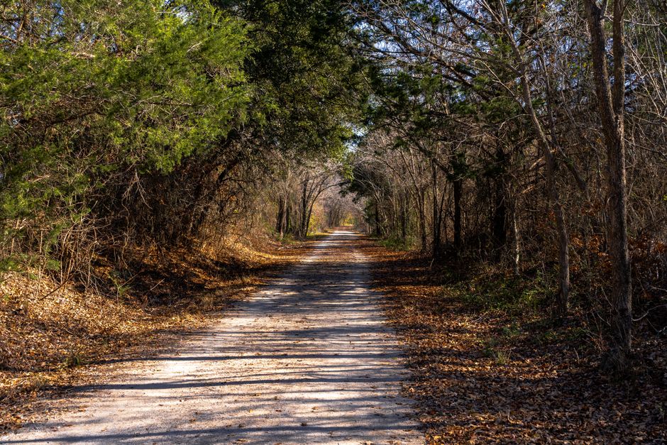 A Gentler Way to Approach Walking: The Most Underrated Exercise, Day by Day