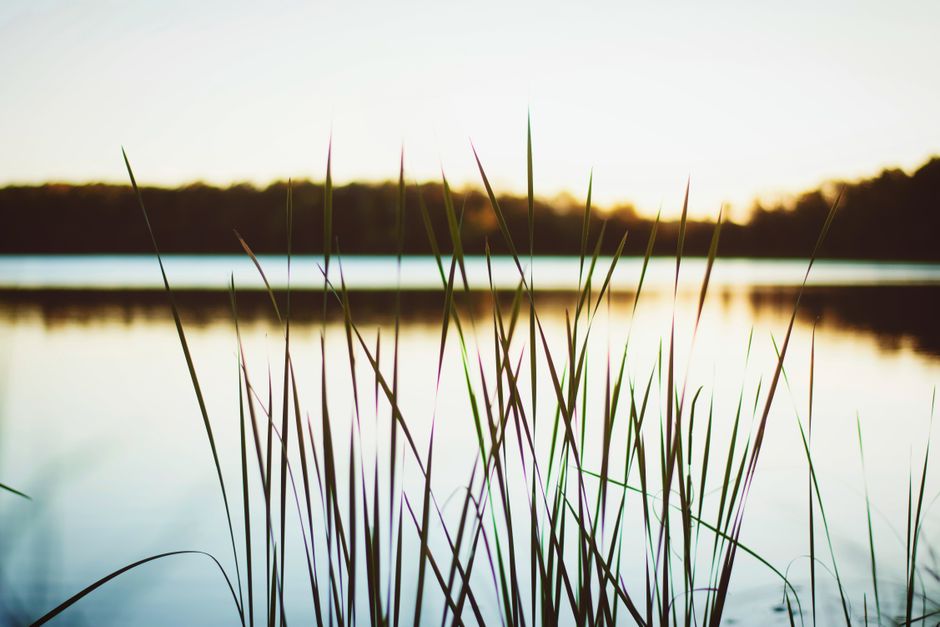 A Sensible Look at Motivation, Discipline And Self-Compassion, Day by Day