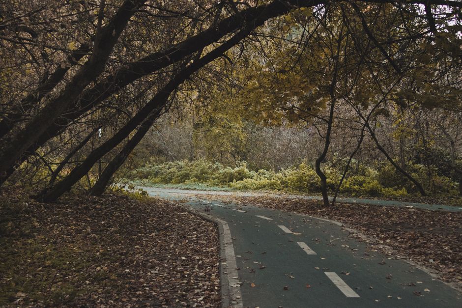 A Slower Approach to Recovery, Rest Days And Overdoing It, Day by Day