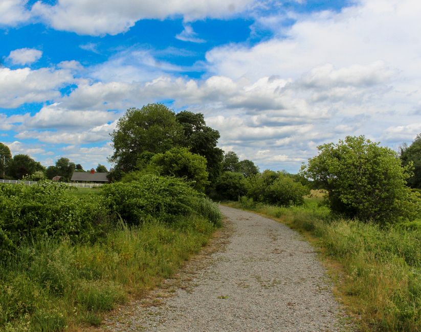 A Slower Approach to Recovery, Rest Days And Overdoing It, Without the Hype