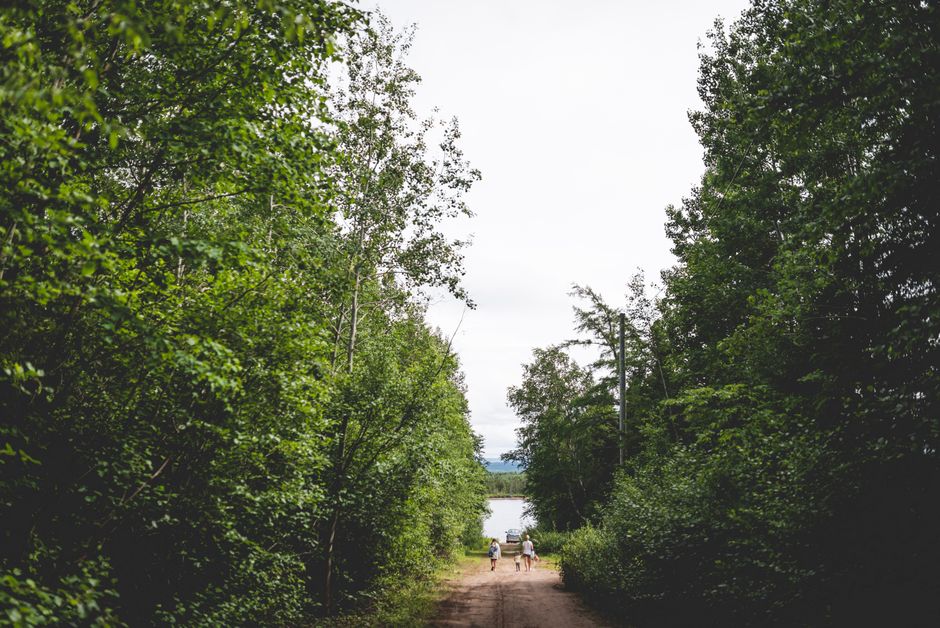 A Step-by-Step Look at The Ordinary Virtues Of Walking, Explained Simply