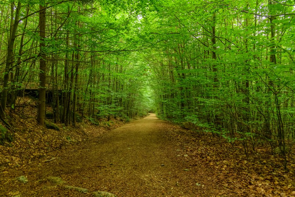 Caring For Your Overall Health: Making It Part of Your Day