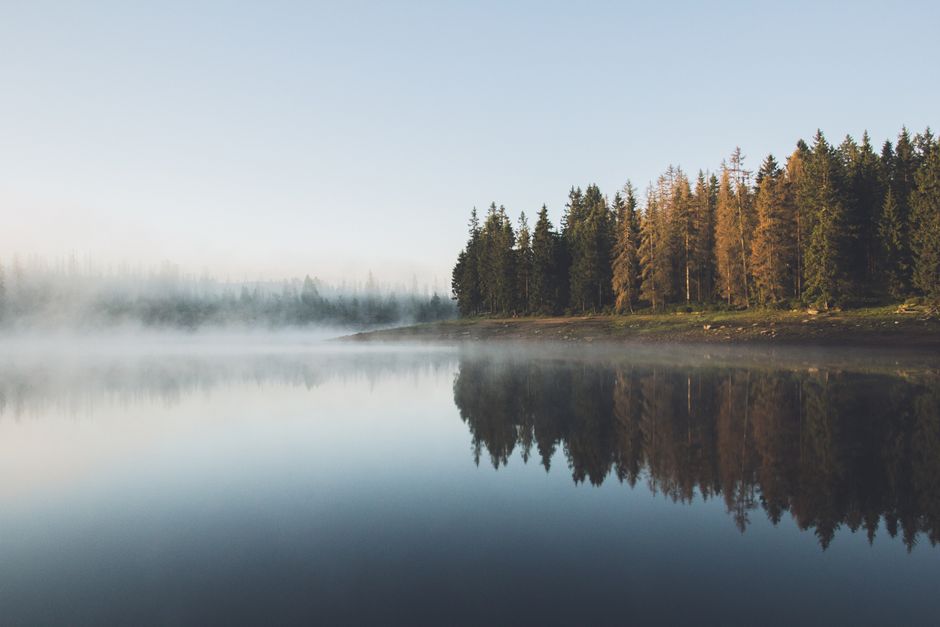 Finding Your Footing With Stress That Helps And Stress That Wears, Without Overthinking It
