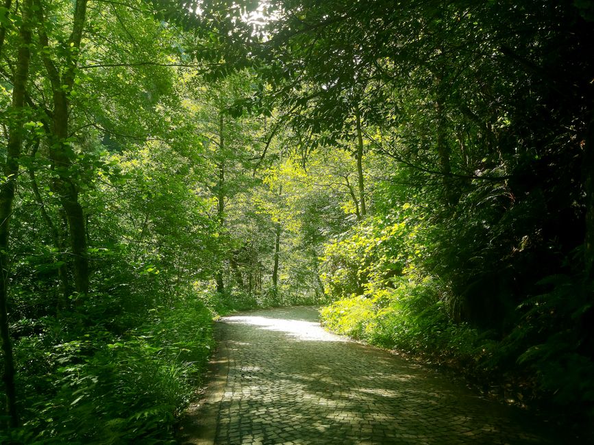 Getting Started With Living A Healthy Lifestyle, on a Normal Week