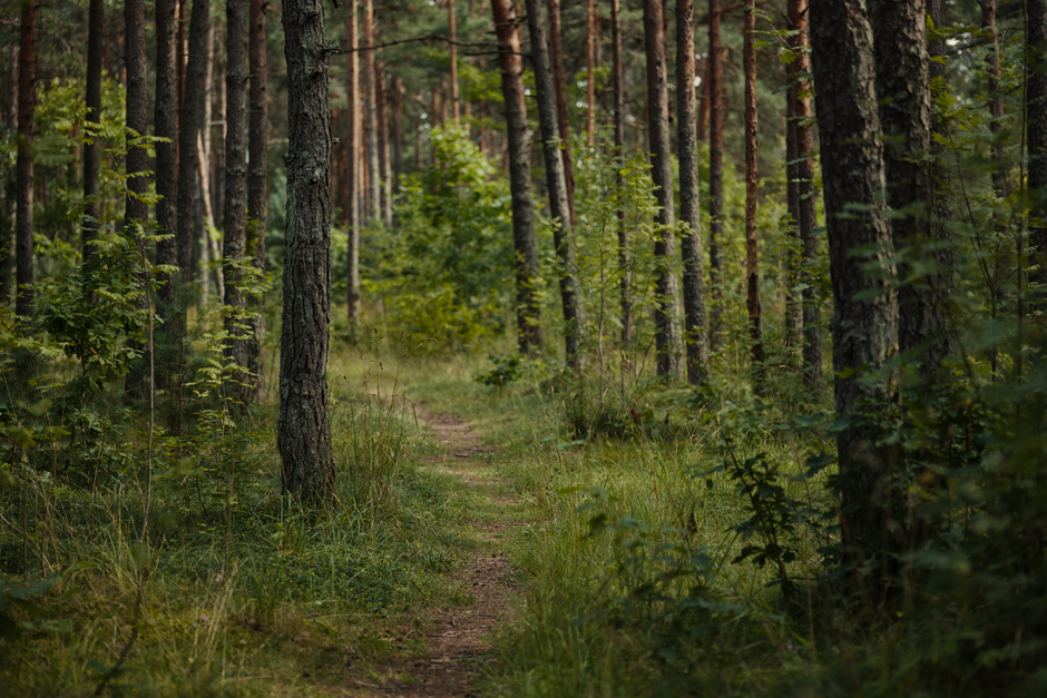 Health Over A Lifetime, Not A Season for Busy People, Made Simple
