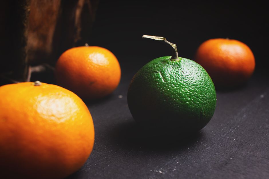 How Iron, B12 And The Nutrients Worth Testing Fits a Real Routine, for Real Life