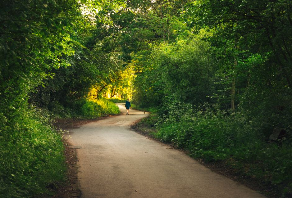 How to Stay Consistent With Recovery, Rest Days And Overdoing It, for Real Life