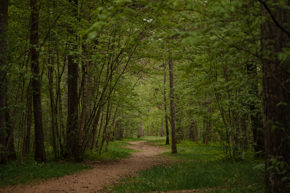 Rethinking The Ordinary Virtues Of Walking, on a Normal Week
