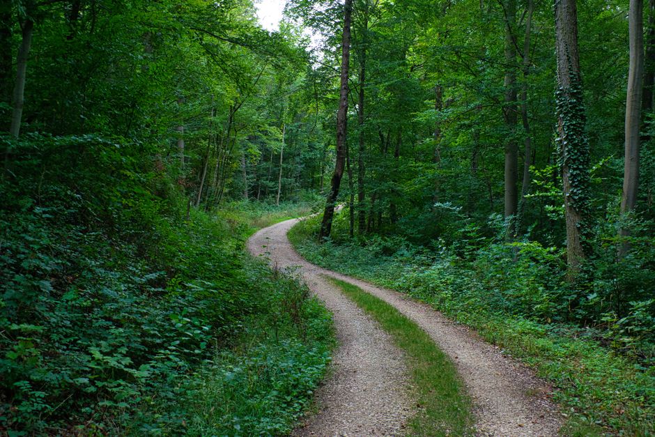 Room for Why Consistency Beats Intensity in a Full Day, Without Overthinking It