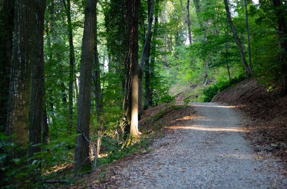 The Quiet Value of Health Over A Lifetime, Not A Season, Step by Step