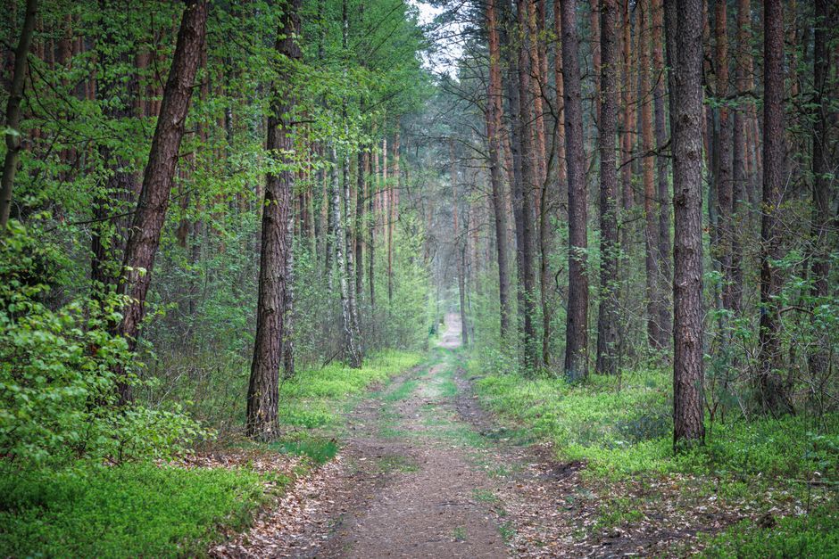 Tracking, Measuring And When To Stop as a Daily Habit, Made Simple