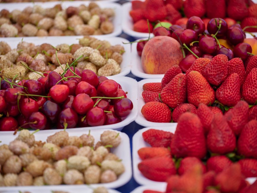 What Consistency Looks Like With Health Through The Seasons, Made Simple
