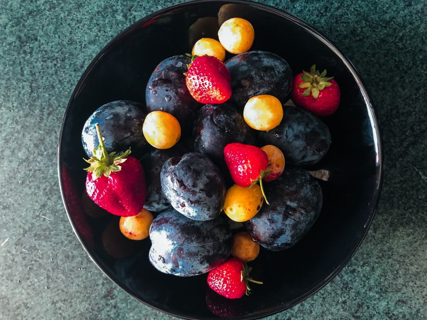 What Nobody Tells You About Health Through The Seasons, Starting Today