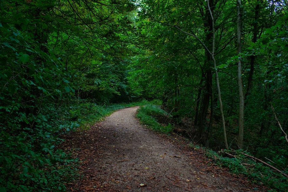 What Nobody Tells You About Wellness At Different Life Stages, the Honest Way