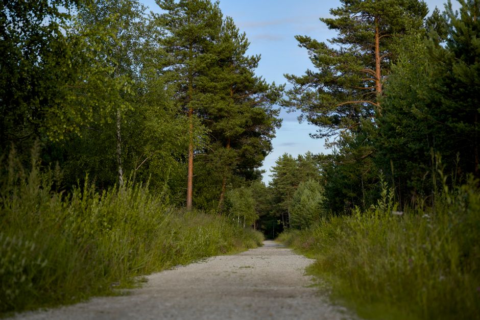Where to Begin With Walking: The Most Underrated Exercise, the Honest Way